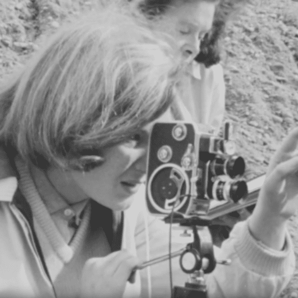 Audio-Visual Open Day at the Screen & Sound Archive, National Library of Wales