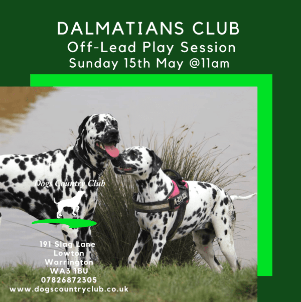 Are Dogs Allowed Off Leads Uk