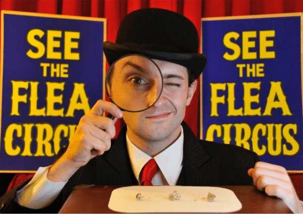 Flea Circus: The Smallest Show on Earth. A talk by Tim Cockerill