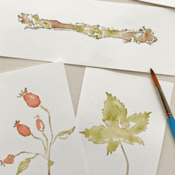 Autumn Treasures Watercolour Workshop for Beginners with Carla Gebhard