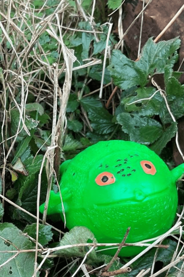 Fantastic Journeys SEND Sessions An Interactive Performance