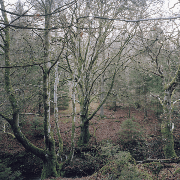 Fergus Heron Photography, Ecology and Place Photo