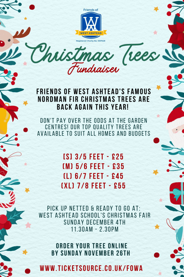 Christmas trees west lothian